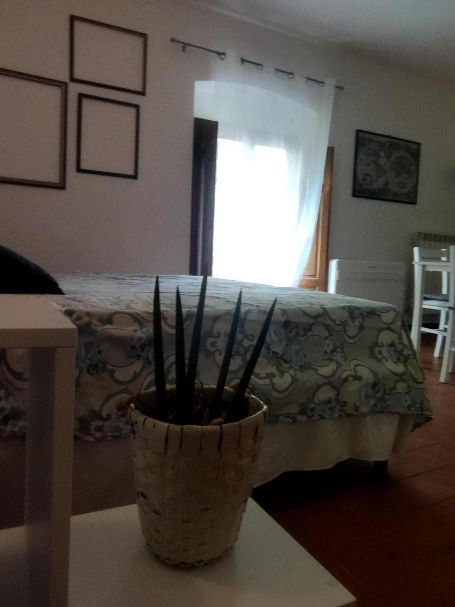 Villa Badia A Ruoti Zewnętrze zdjęcie