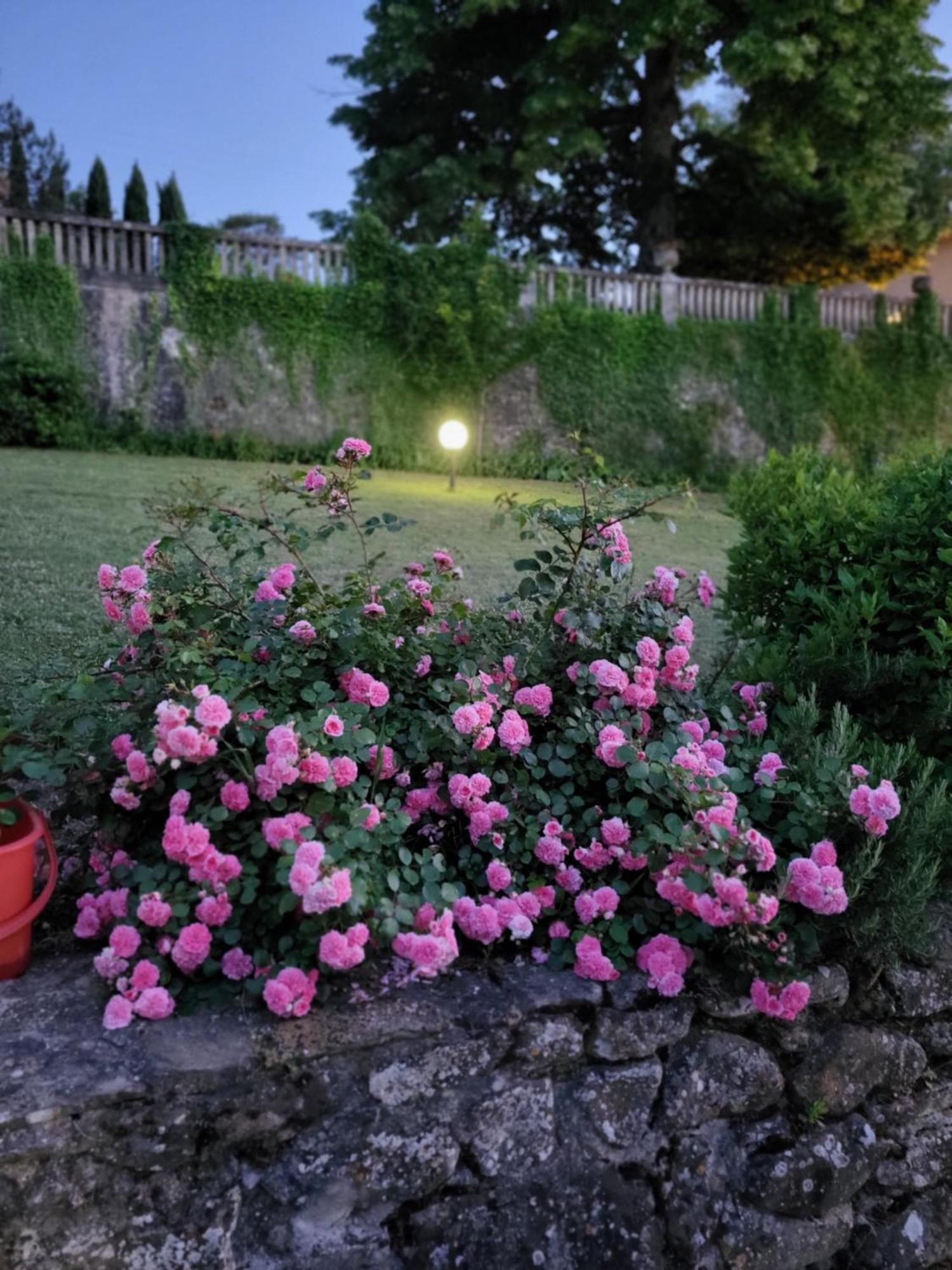 Villa Badia A Ruoti Zewnętrze zdjęcie